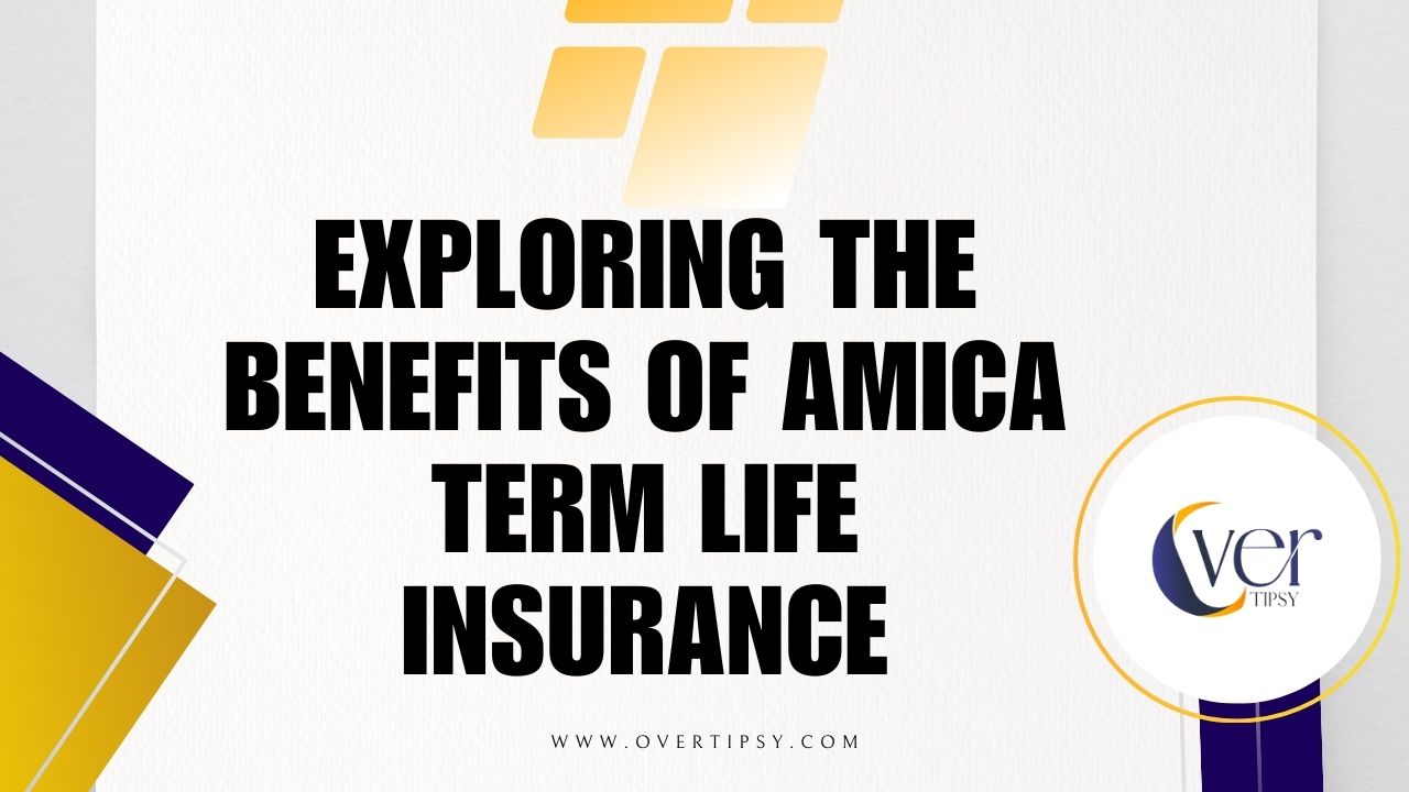 amica term life insurance