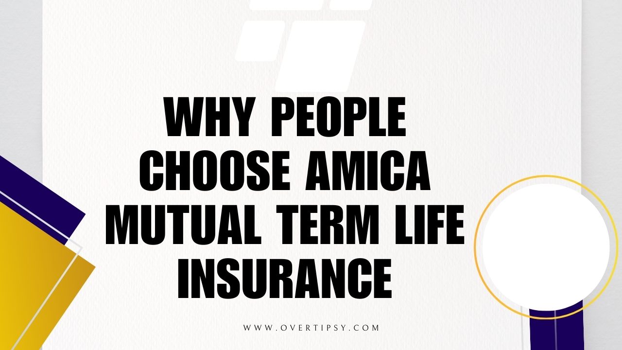 amica mutual term life insurance